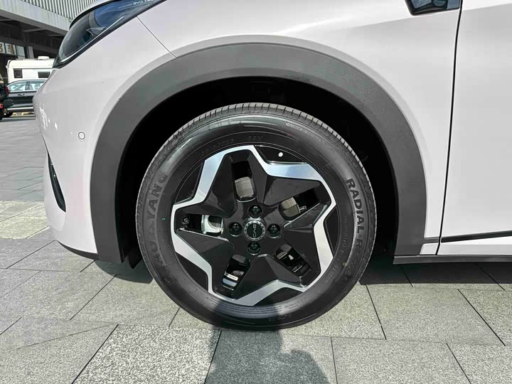 Фото 4 - BYD Dolphin