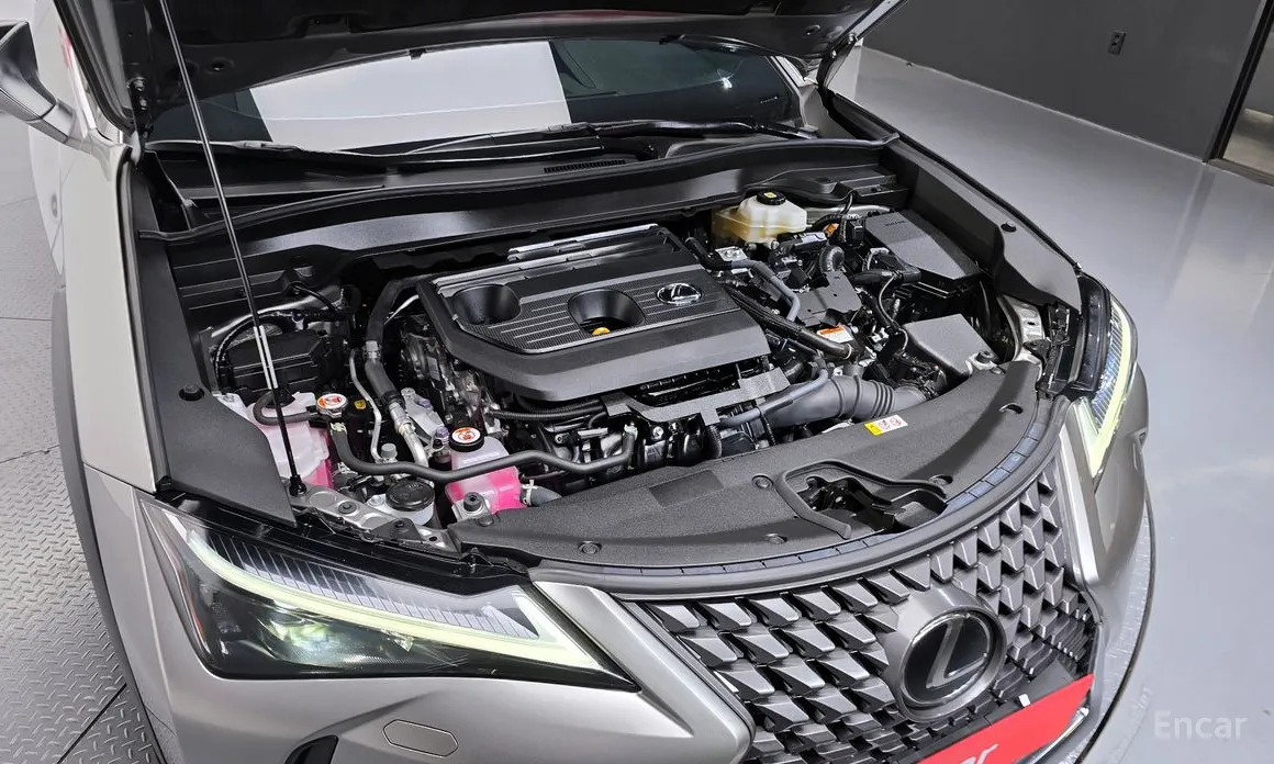 Фото 6 - Lexus UX