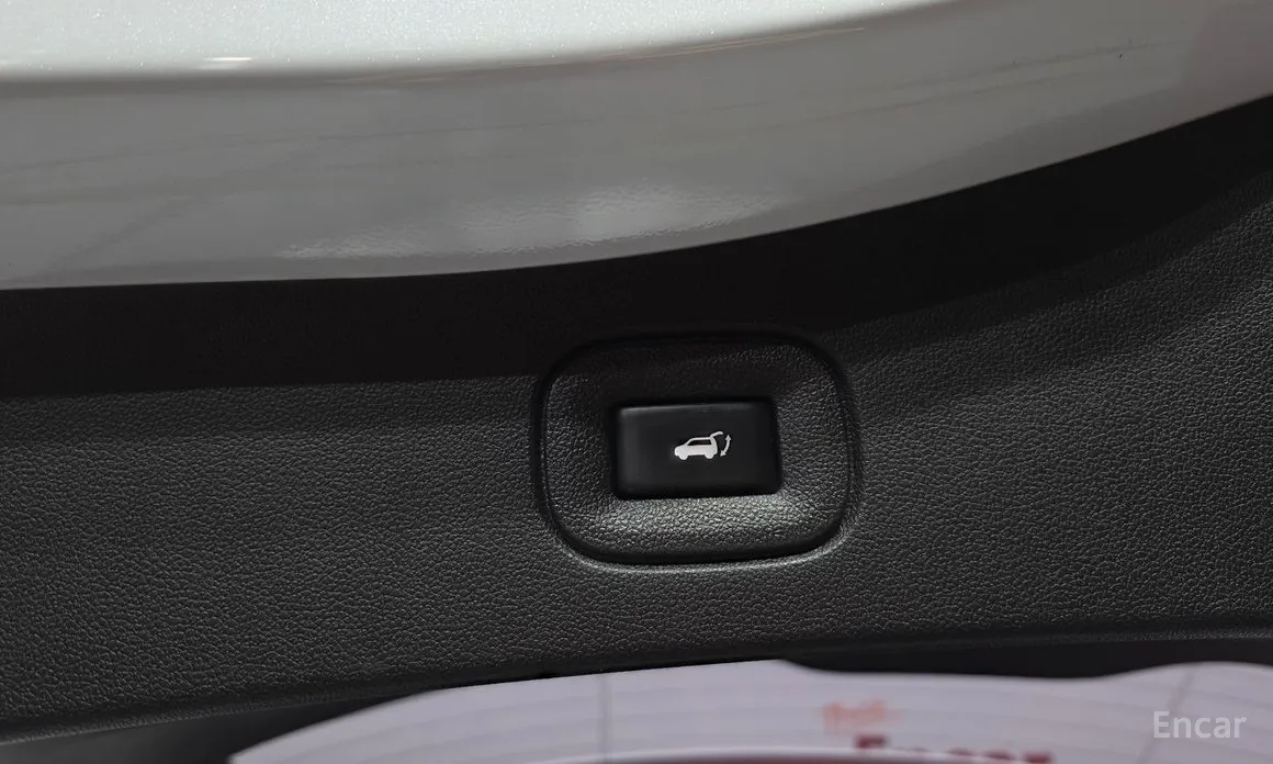 Фото 20 - Renault QM6