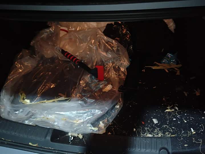 Photo 4 - Geely Galaxy L6