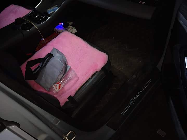 Photo 8 - Geely Galaxy L6