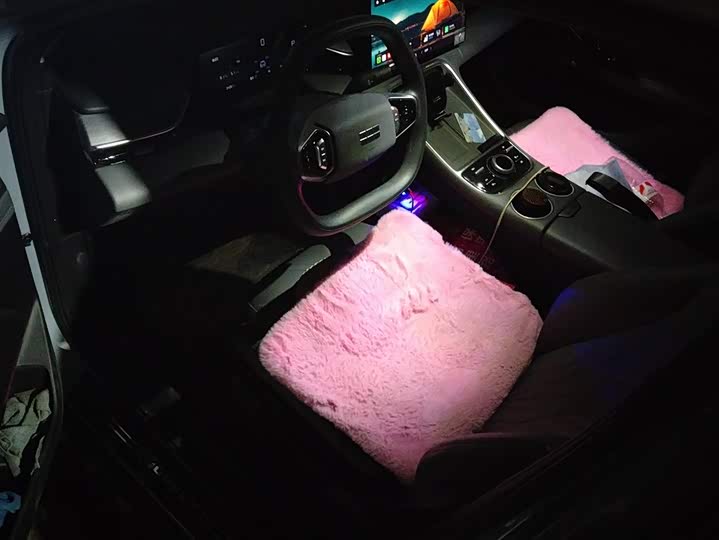 Photo 9 - Geely Galaxy L6