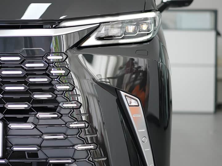 Фото 5 - Lexus LM