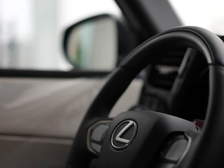 Фото 8 - Lexus LM