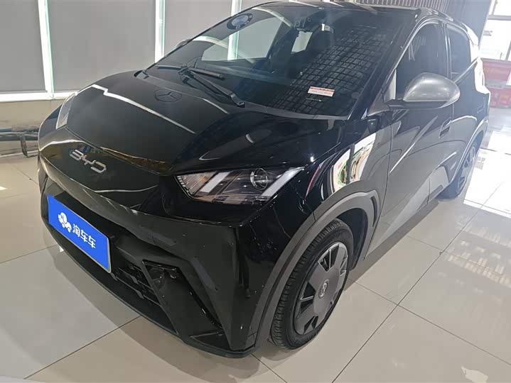 Фото 1 - BYD Seagull