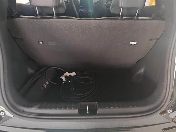 Фото 4 - BYD Seagull