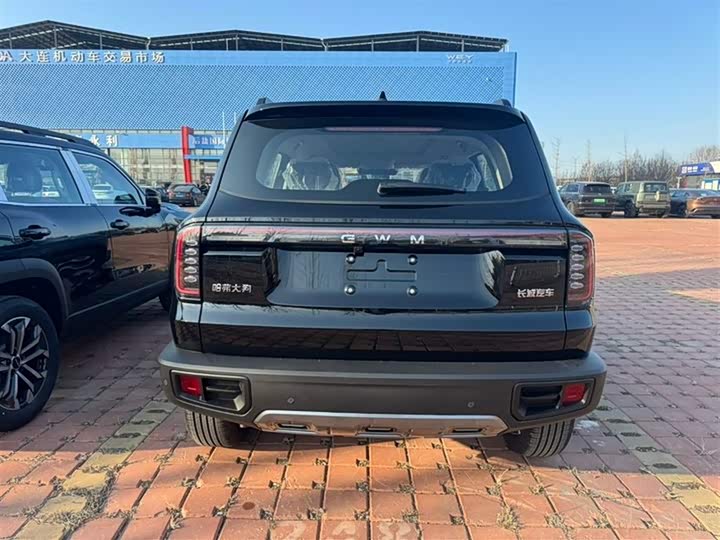 Фото 7 - Haval Dargo