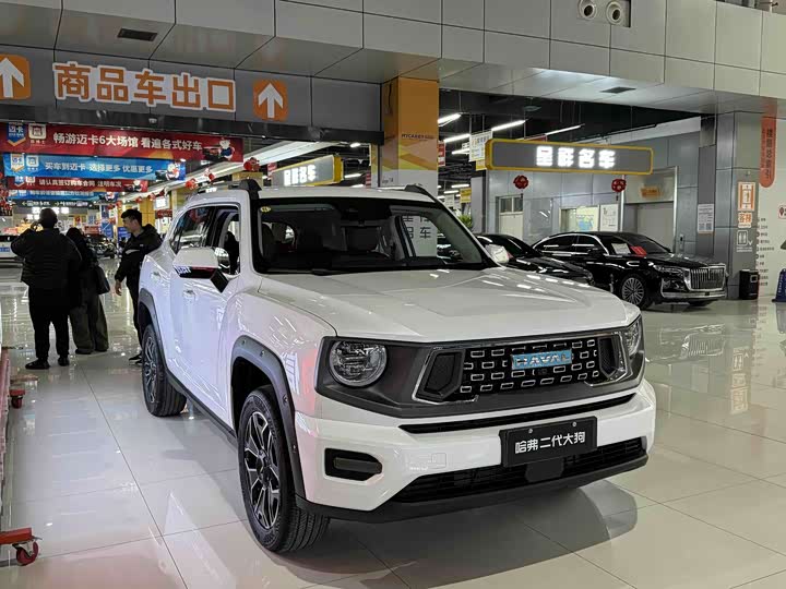 Фото 2 - Haval H-Dog Hybrid