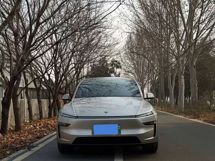 Фото 2 - Tesla Model Y