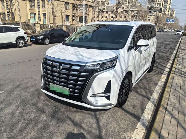 Фото 1 - Denza D9