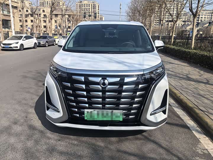 Фото 2 - Denza D9