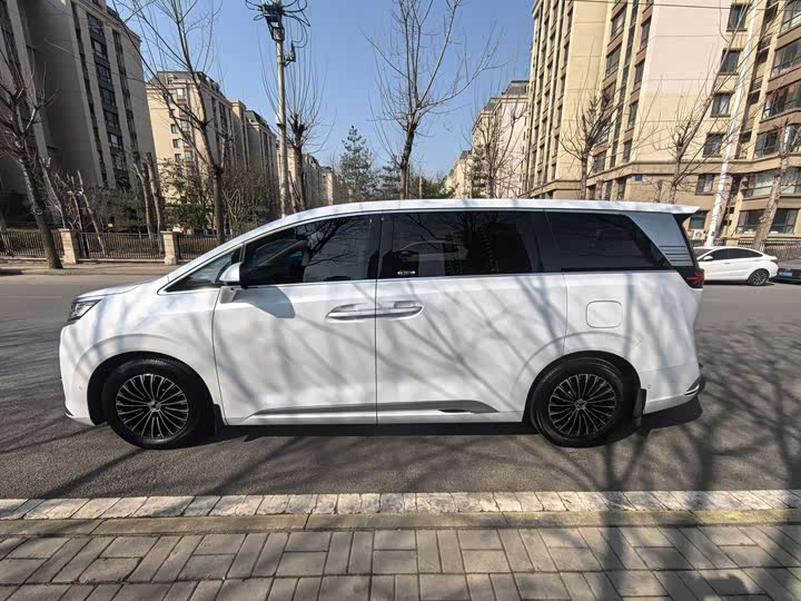 Фото 9 - Denza D9