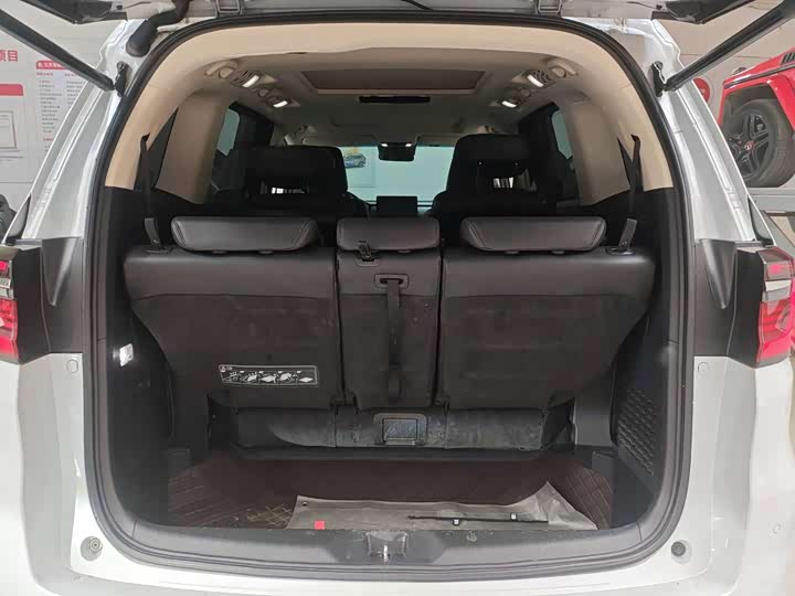 Фото 7 - Honda Elysion