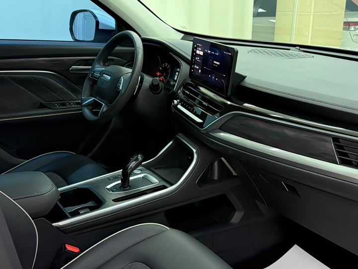 Zdjęcie 9 - Haval H6