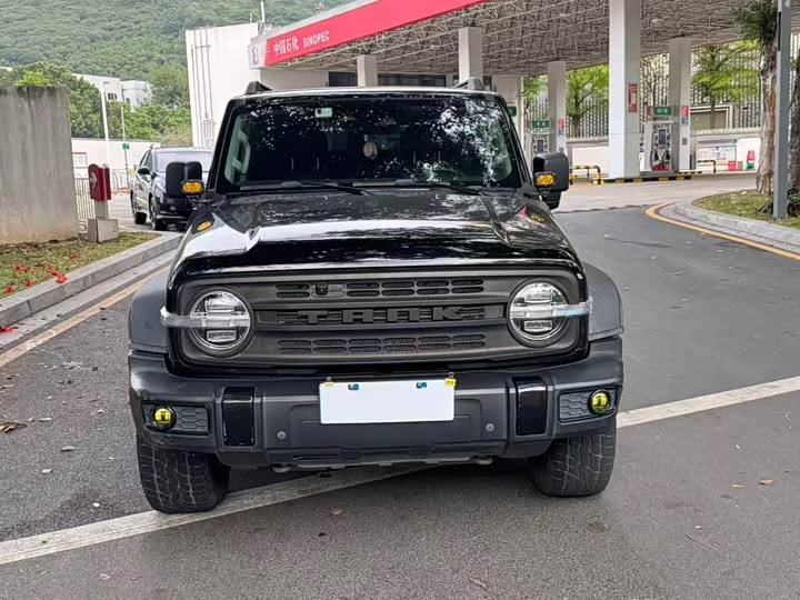 Фото 2 - Tank 300