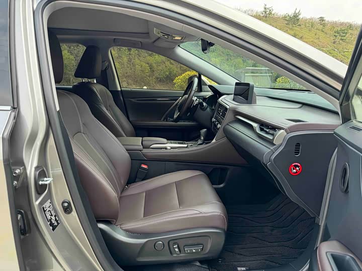 Фото 6 - Lexus RX