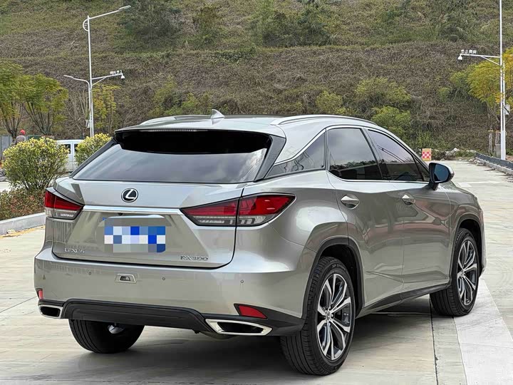 Фото 9 - Lexus RX