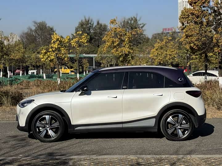 Фото 3 - Smart #1