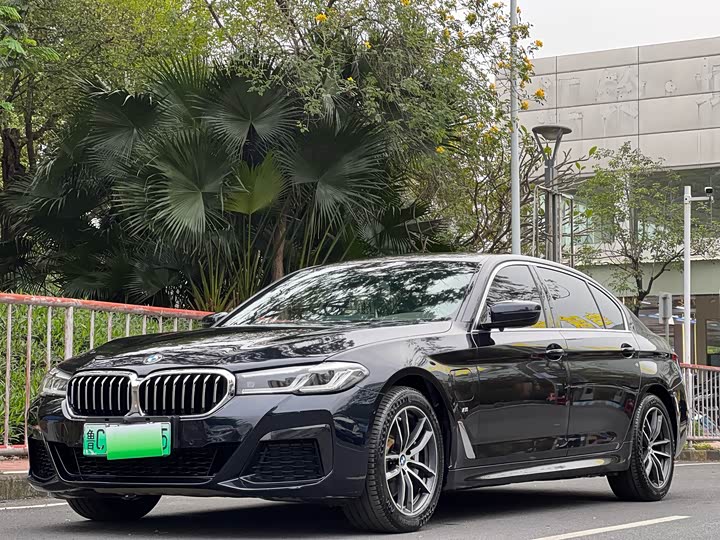 Photo 3 - BMW 5 Series Hybrid