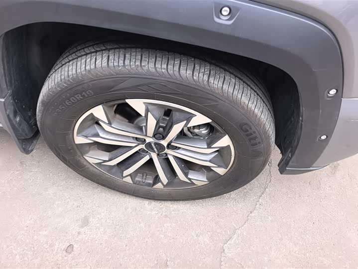 Фото 6 - Haval H-Dog