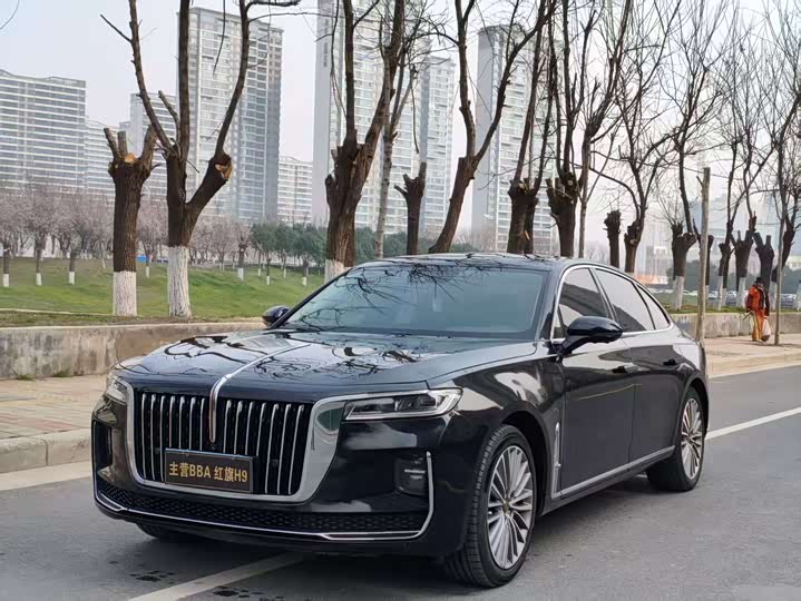 Фото 1 - Hongqi H9