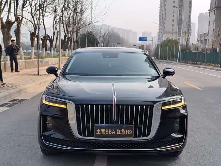 Фото 2 - Hongqi H9