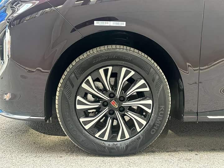 Фото 6 - Hongqi HQ9 Hybrid