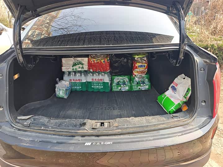 Фото 4 - Hongqi E-QM5