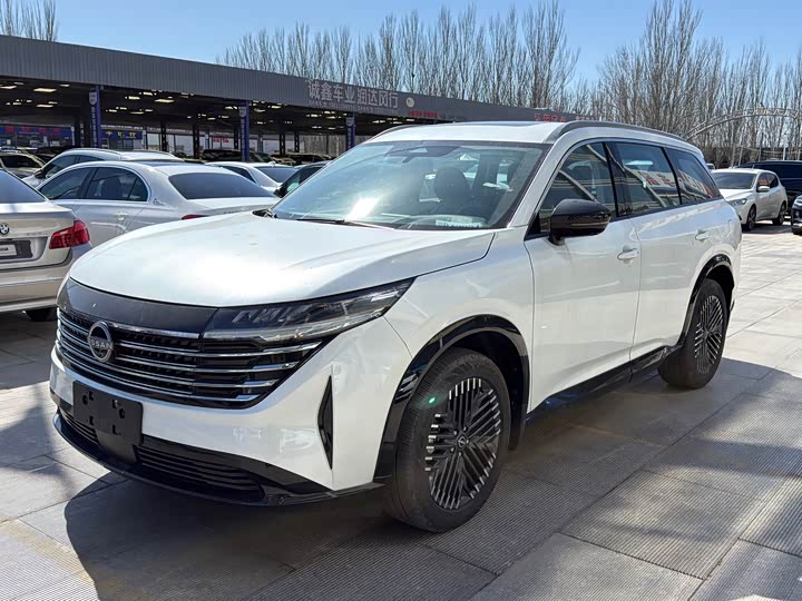 Фото 1 - Nissan Pathfinder