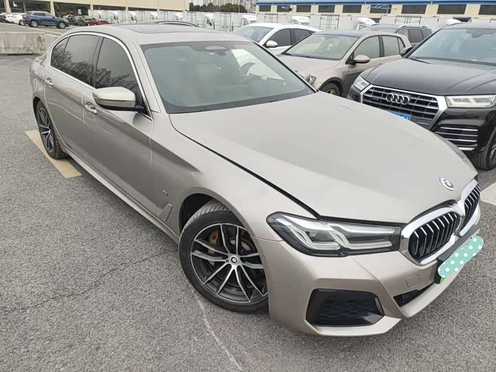 Фото 2 - BMW 5 Series Hybrid