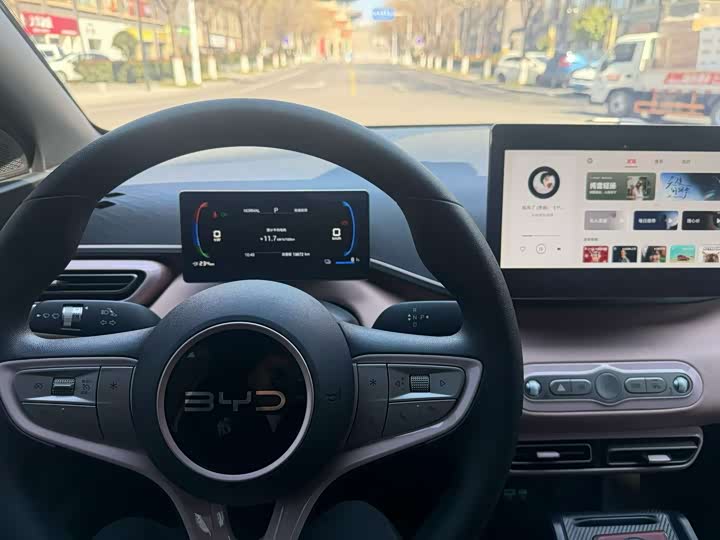 Фото 7 - BYD Seagull