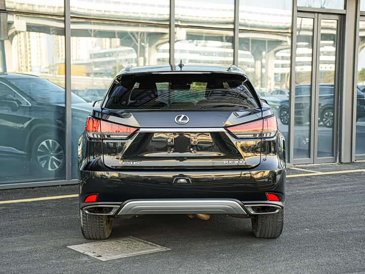 Фото 5 - Lexus RX