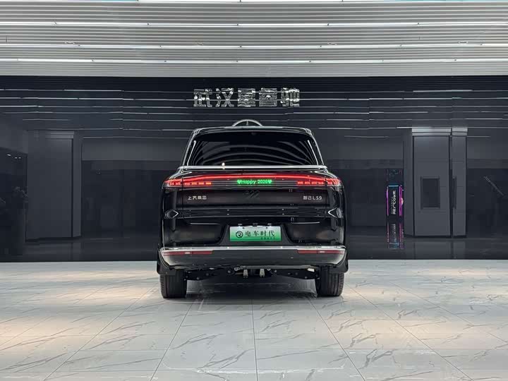 Фото 6 - IM motors LS9