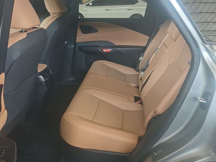 Фото 6 - Lexus RX