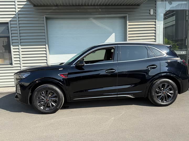 Photo 3 - Hongqi HS5