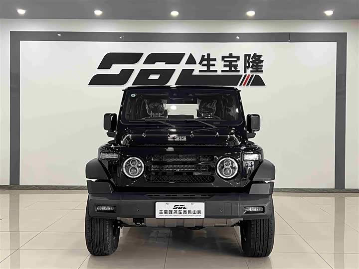 Фото 2 - BAW 212 T01