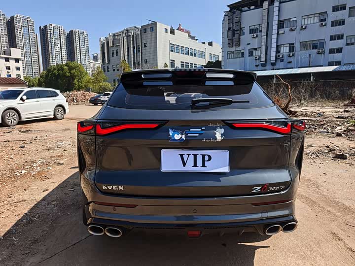 Фото 8 - Changan Oshan Z6