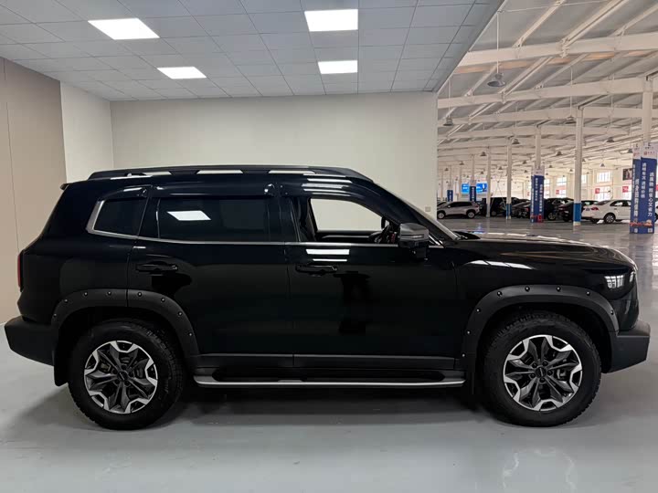 Фото 8 - Haval Dargo