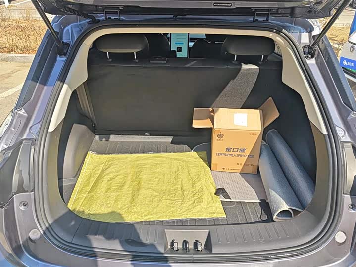 Фото 4 - Hozon V