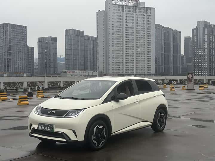 Фото 3 - BYD Dolphin