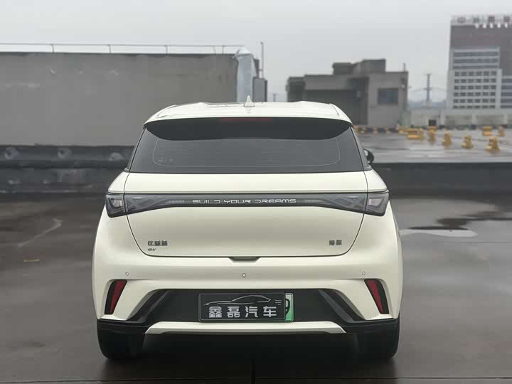 Фото 4 - BYD Dolphin