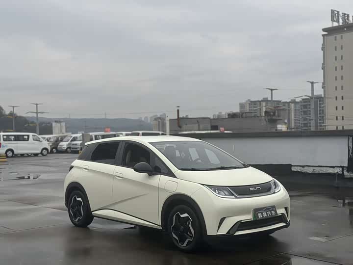 Фото 5 - BYD Dolphin