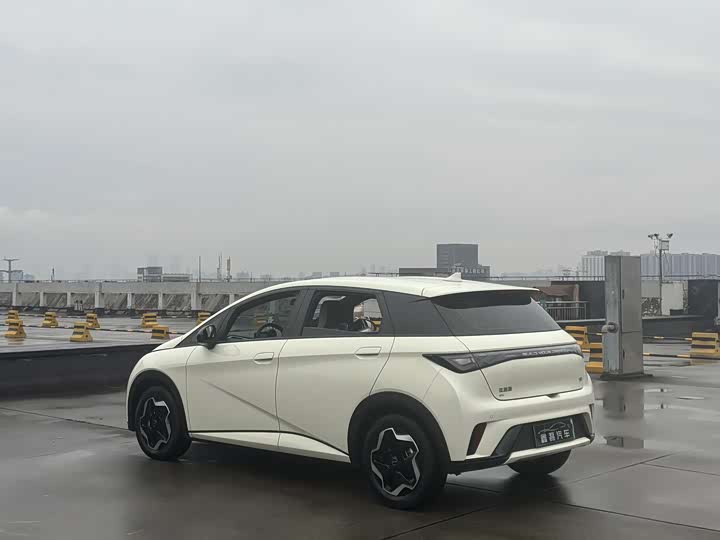 Фото 6 - BYD Dolphin