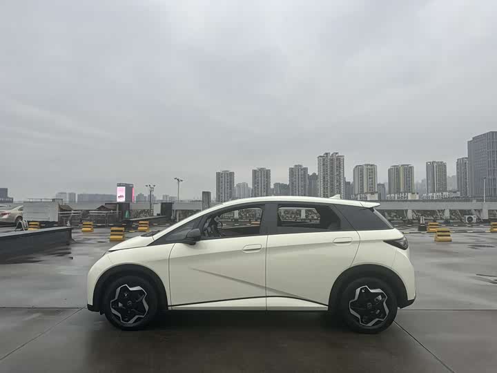 Фото 8 - BYD Dolphin