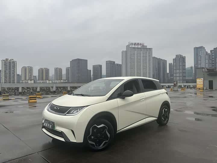 Фото 9 - BYD Dolphin