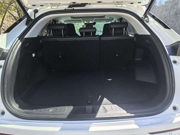 Фото 9 - Changan Oshan Z6