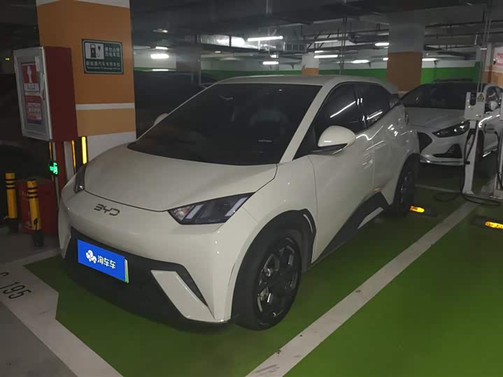 Фото 1 - BYD Seagull