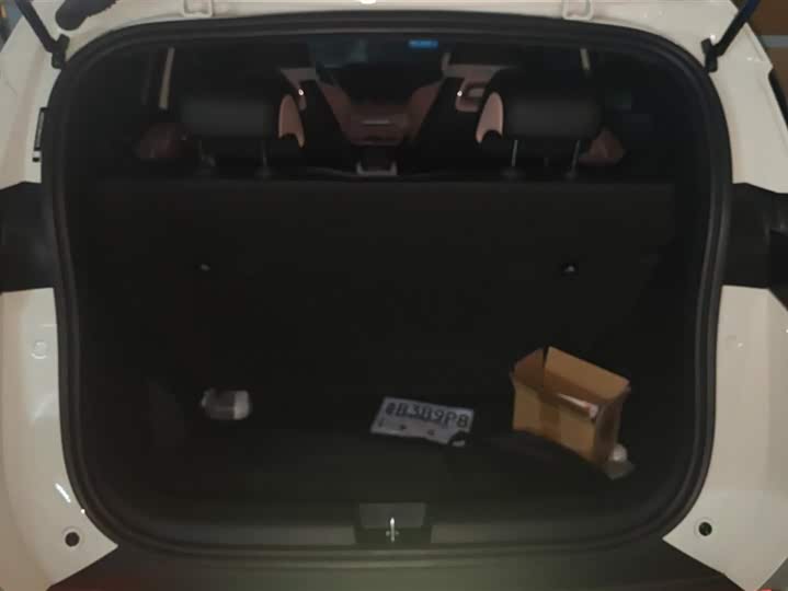 Фото 4 - BYD Seagull