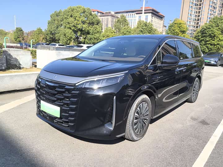 Фото 1 - BYD Xia