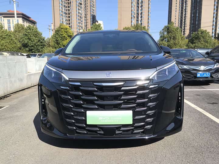 Фото 2 - BYD Xia